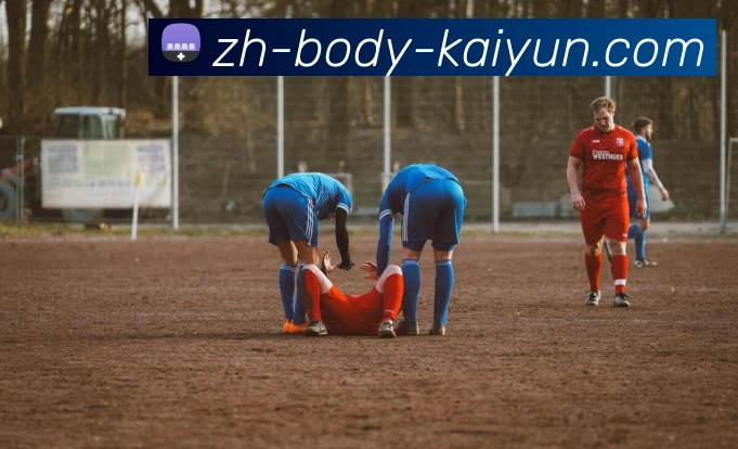 App Interface Preview