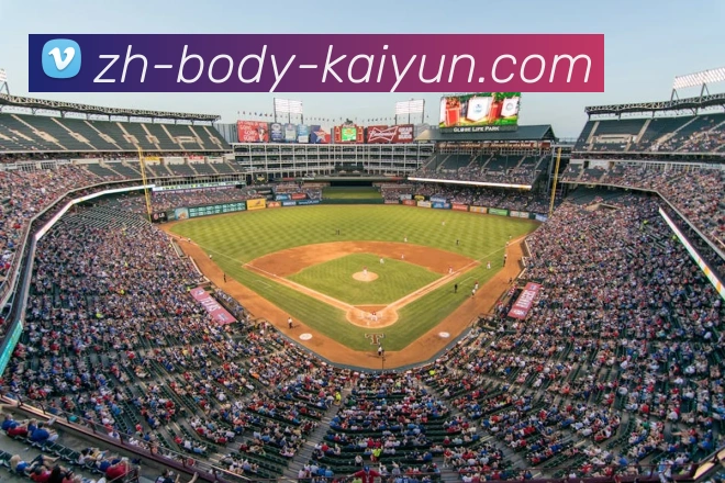 开云体育APP 封面图